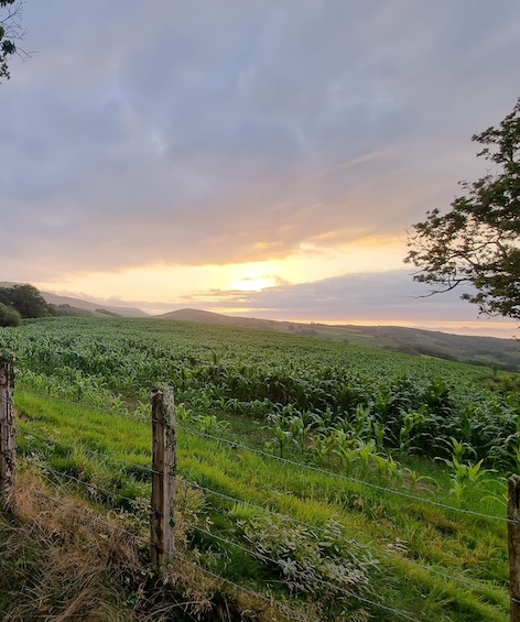 Bon Cadeau Découverte en 4x4 – Image 8
