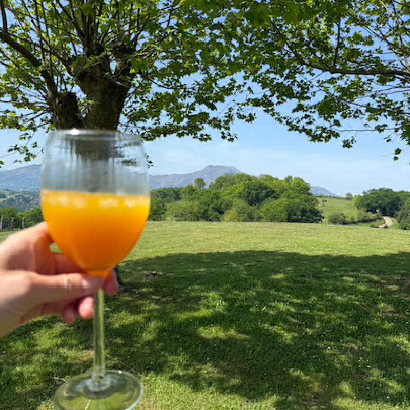 cocktail bergerie